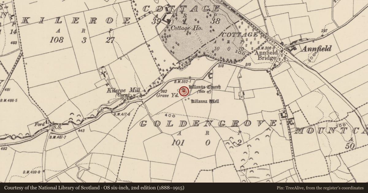 Ordnance Survey six-inch map, 2nd edition (1888–1915) covering the location of Graveyard, Goldengrove, County Tipperary North, with a pin at the register's coordinates