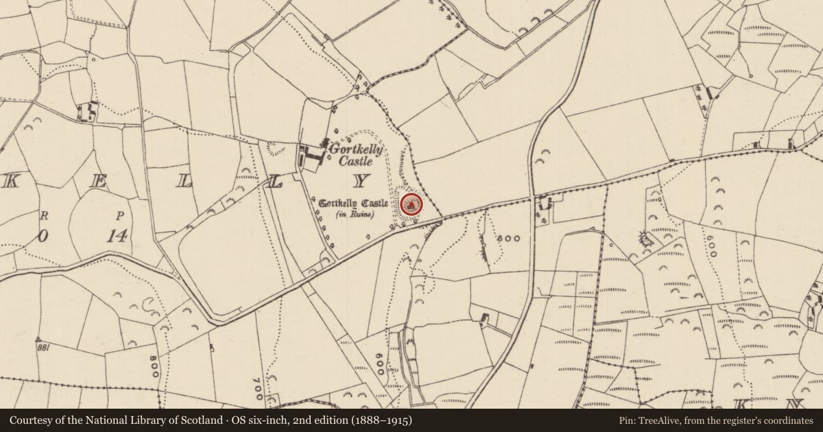 Ordnance Survey six-inch map, 2nd edition (1888–1915) covering the location of Castle - unclassified, Gortkelly, County Tipperary North, with a pin at the register's coordinates