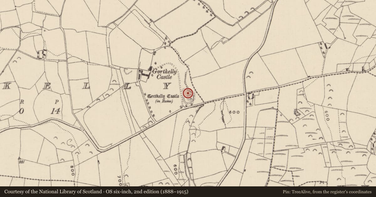 Ordnance Survey six-inch map, 2nd edition (1888–1915) covering the location of Castle - motte and bailey, Gortkelly, County Tipperary North, with a pin at the register's coordinates