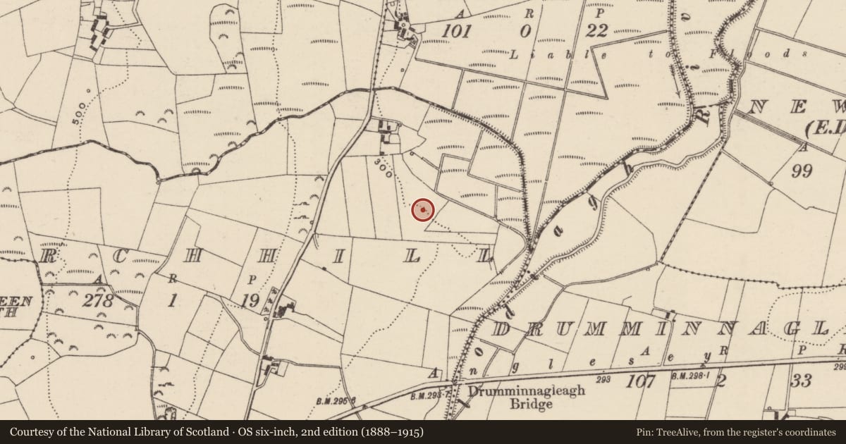 Ordnance Survey six-inch map, 2nd edition (1888–1915) covering the location of Earthwork, Birchhill, County Tipperary North, with a pin at the register's coordinates