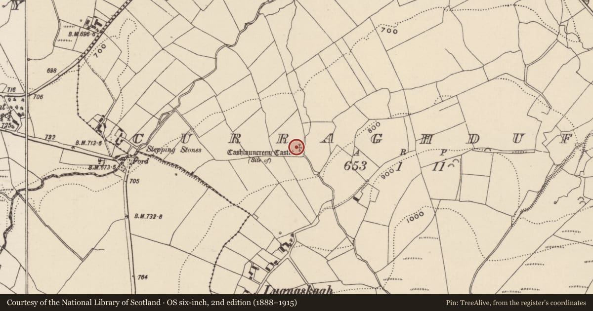 Ordnance Survey six-inch map, 2nd edition (1888–1915) covering the location of Castle - tower house, Curraghduff (Upperchurch Par.), County Tipperary North, with a pin at the register's coordinates