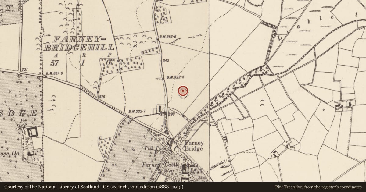 Ordnance Survey six-inch map, 2nd edition (1888–1915) covering the location of Ringfort - rath, Garrynamona, County Tipperary North, with a pin at the register's coordinates