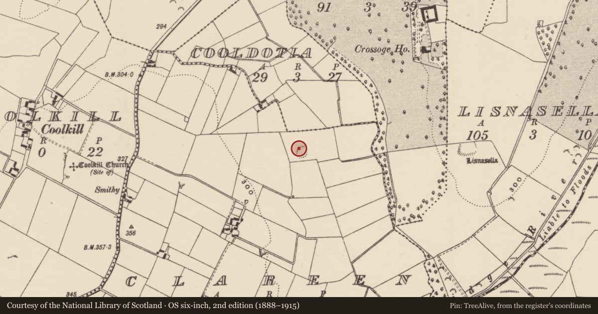 Ordnance Survey six-inch map, 2nd edition (1888–1915) covering the location of Enclosure, Clareen (Moyaliff Par.), County Tipperary North, with a pin at the register's coordinates