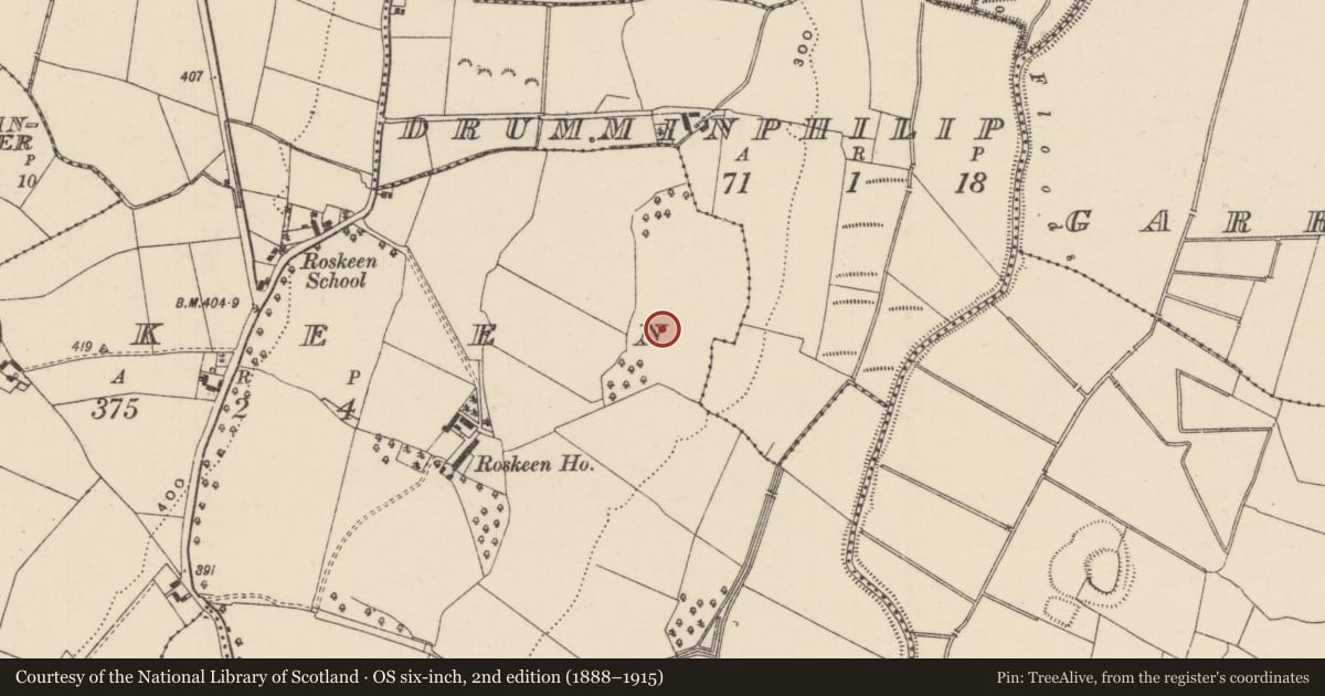 Ordnance Survey six-inch map, 2nd edition (1888–1915) covering the location of Enclosure, Roskeen, County Tipperary North, with a pin at the register's coordinates