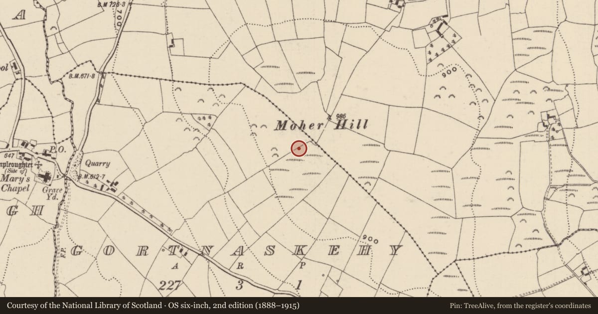 Ordnance Survey six-inch map, 2nd edition (1888–1915) covering the location of Cist, Gortnaskehy (Upperchurch Par.), County Tipperary North, with a pin at the register's coordinates