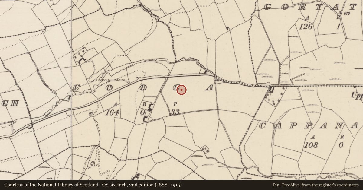 Ordnance Survey six-inch map, 2nd edition (1888–1915) covering the location of Standing stone, Cooga, County Tipperary North, with a pin at the register's coordinates
