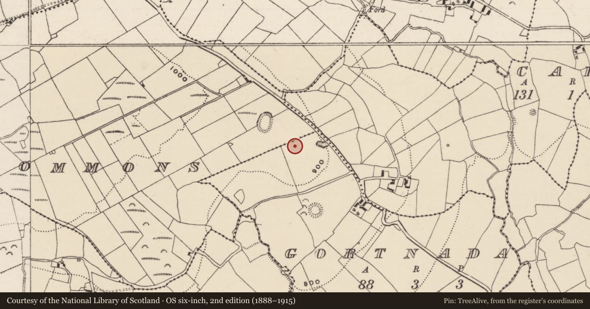 Ordnance Survey six-inch map, 2nd edition (1888–1915) covering the location of Standing stone, Gortnada, County Tipperary North, with a pin at the register's coordinates