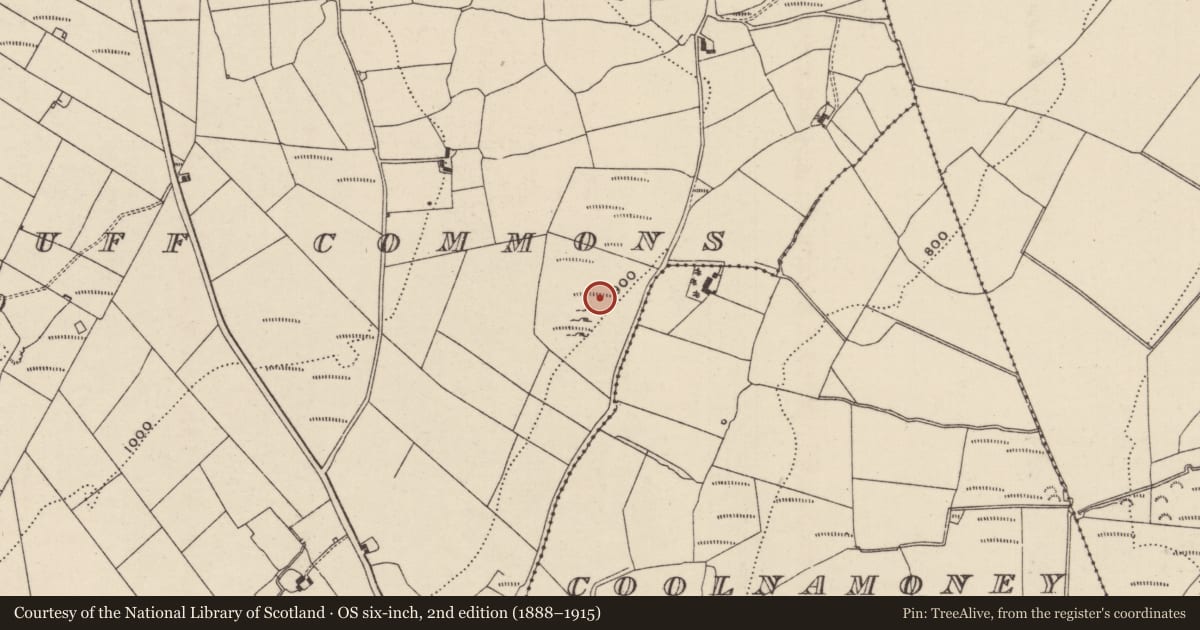 Ordnance Survey six-inch map, 2nd edition (1888–1915) covering the location of Sweathouse, Knockacarhanduff Commons, County Tipperary North, with a pin at the register's coordinates