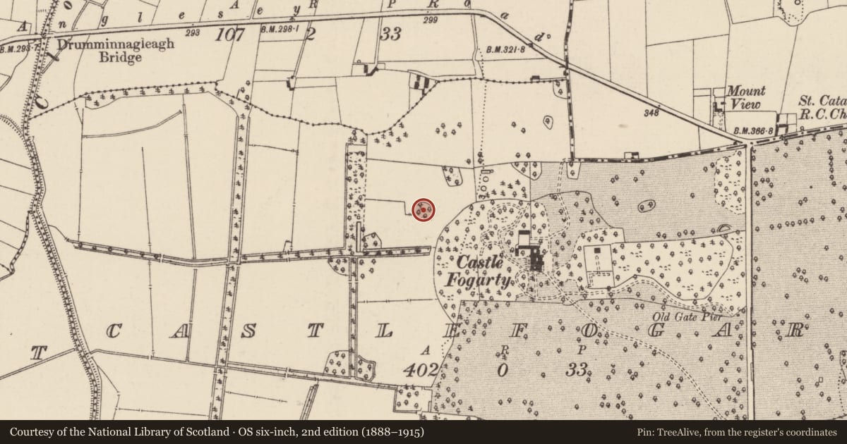 Ordnance Survey six-inch map, 2nd edition (1888–1915) covering the location of Designed landscape feature, Castlefogarty, County Tipperary North, with a pin at the register's coordinates