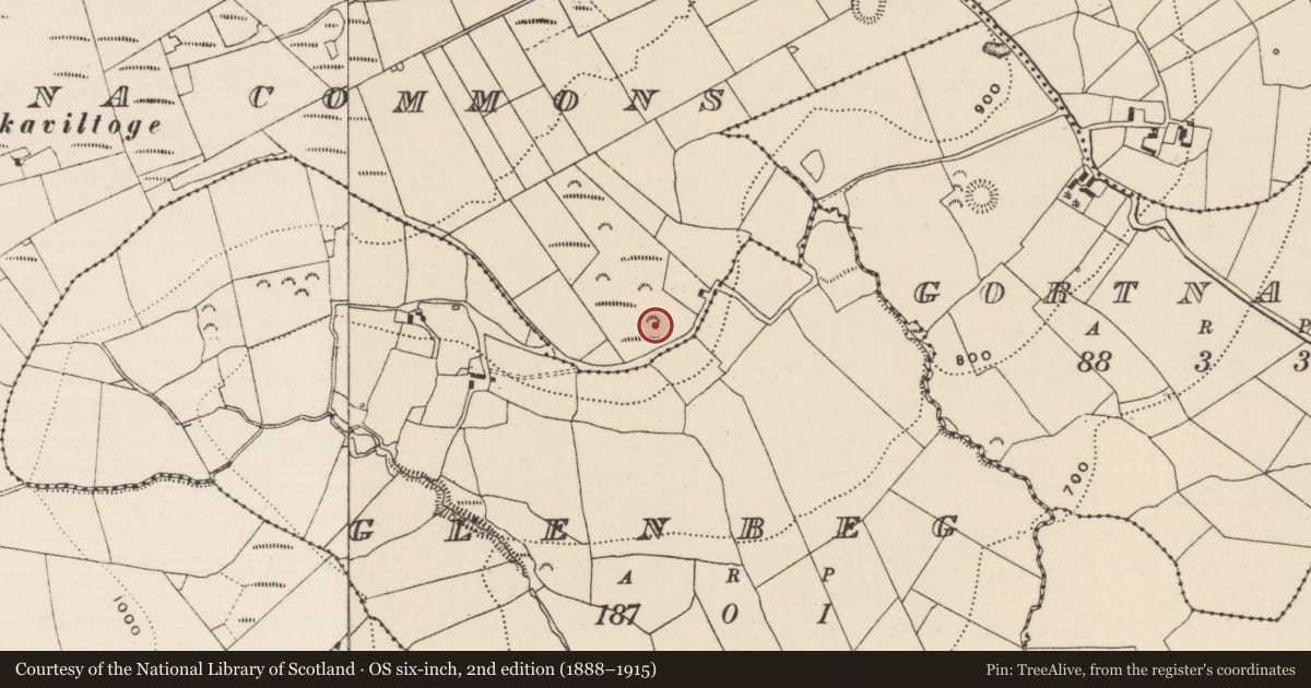 Ordnance Survey six-inch map, 2nd edition (1888–1915) covering the location of Barrow - ditch barrow, Knocknamena Commons, County Tipperary North, with a pin at the register's coordinates