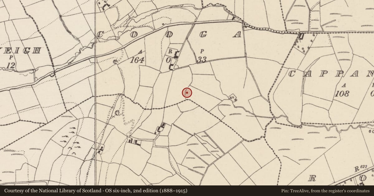 Ordnance Survey six-inch map, 2nd edition (1888–1915) covering the location of Barrow - ring-barrow, Cooga, County Tipperary North, with a pin at the register's coordinates