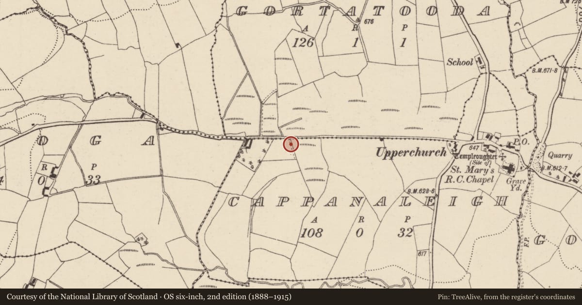 Ordnance Survey six-inch map, 2nd edition (1888–1915) covering the location of Fulacht fia, Cappanaleigh, County Tipperary North, with a pin at the register's coordinates