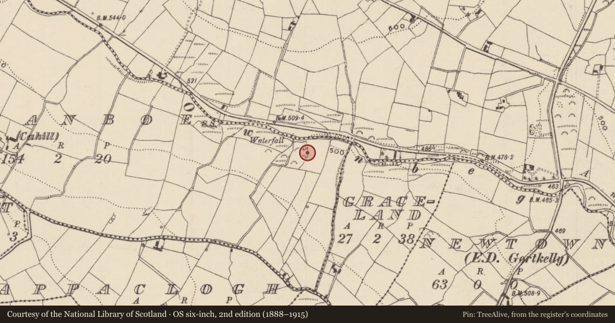 Ordnance Survey six-inch map, 2nd edition (1888–1915) covering the location of Standing stone, Atshanboe (Cahill), County Tipperary North, with a pin at the register's coordinates