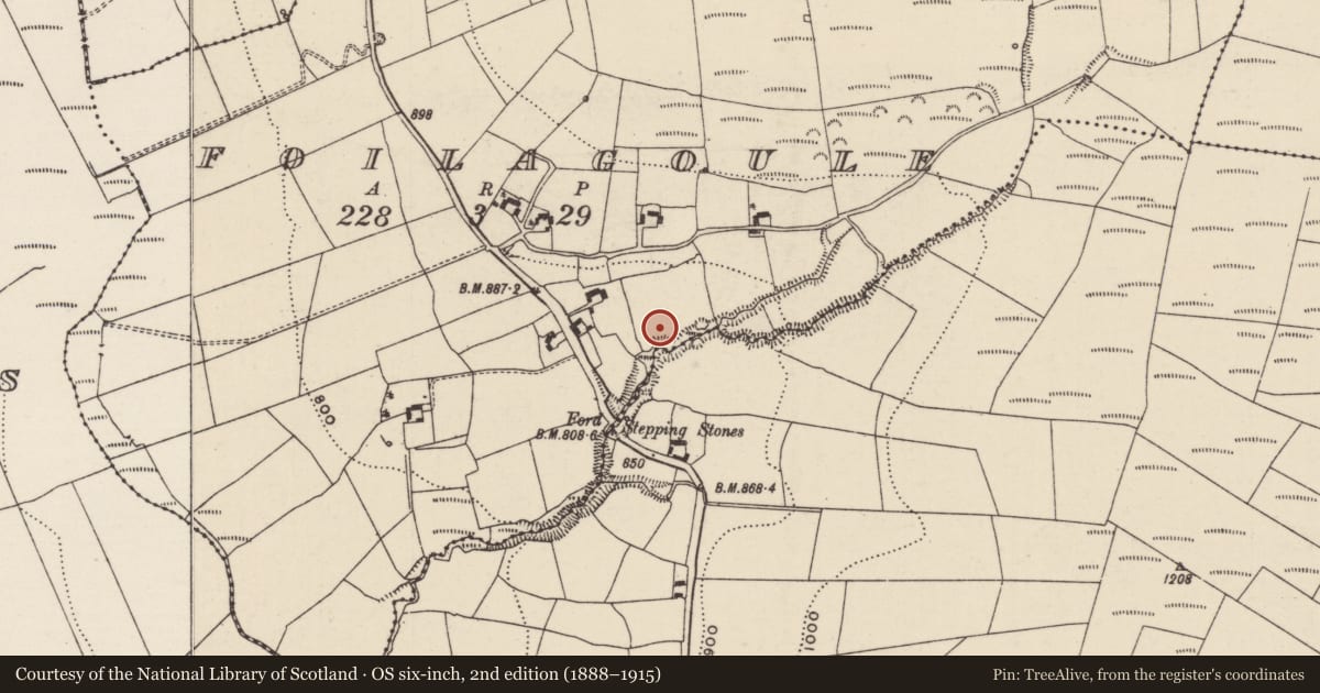 Ordnance Survey six-inch map, 2nd edition (1888–1915) covering the location of Fulacht fia, Foilagoule, County Tipperary North, with a pin at the register's coordinates