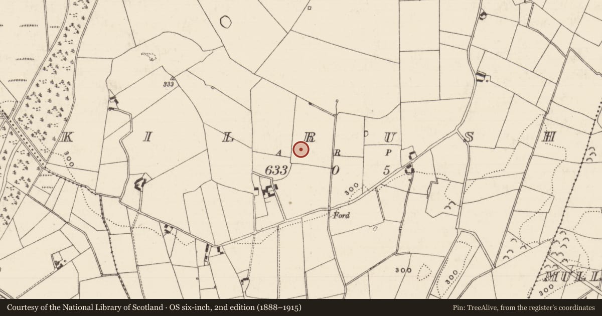 Ordnance Survey six-inch map, 2nd edition (1888–1915) covering the location of Earthwork, Kilrush, County Tipperary North, with a pin at the register's coordinates