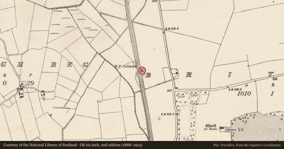 Ordnance Survey six-inch map, 2nd edition (1888–1915) covering the location of Earthwork, Brittas (Thurles Par.), County Tipperary North, with a pin at the register's coordinates