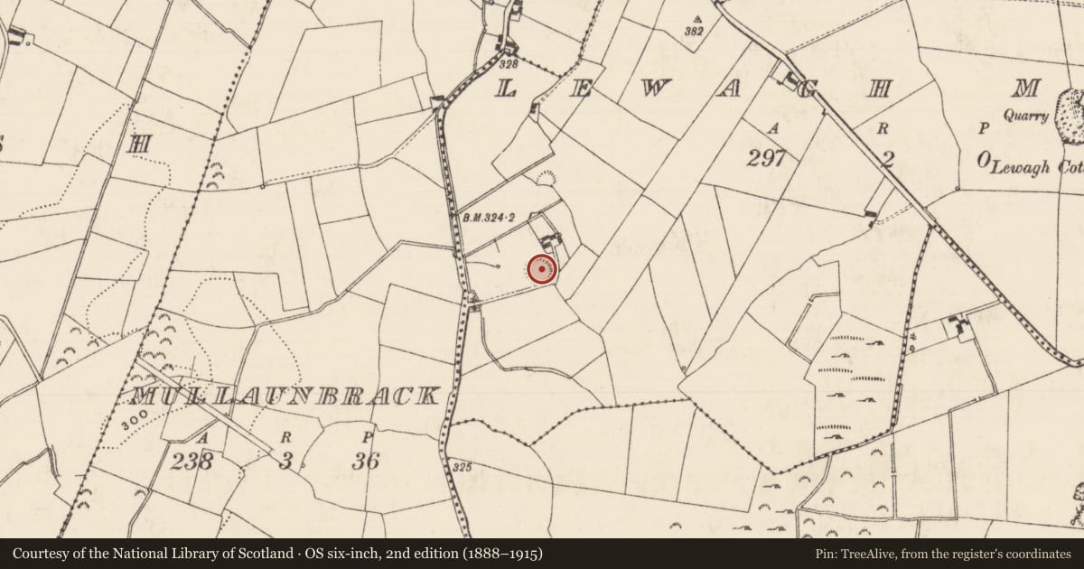 Ordnance Survey six-inch map, 2nd edition (1888–1915) covering the location of Ringfort - rath, Lewagh More, County Tipperary North, with a pin at the register's coordinates