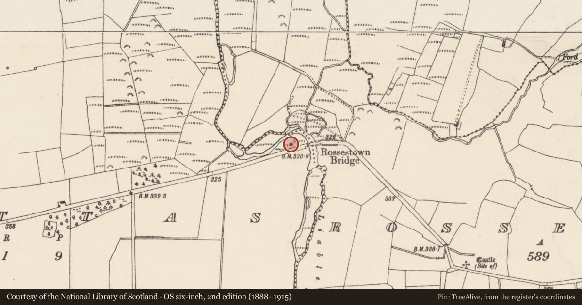 Ordnance Survey six-inch map, 2nd edition (1888–1915) covering the location of Enclosure, Brittas (Thurles Par.), County Tipperary North, with a pin at the register's coordinates