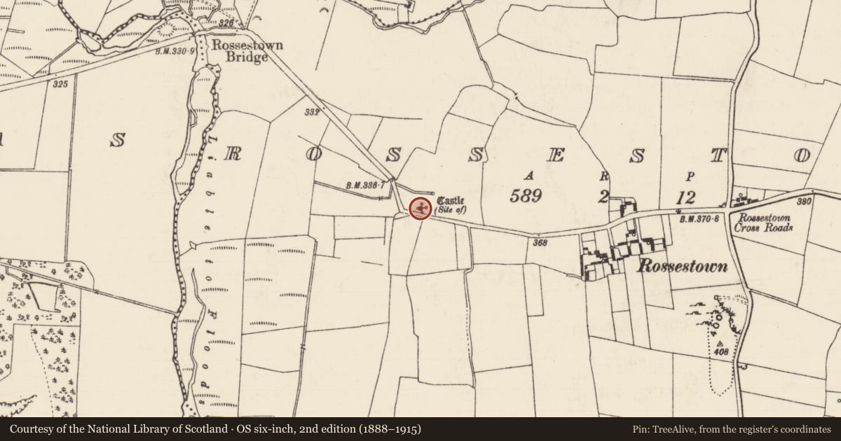 Ordnance Survey six-inch map, 2nd edition (1888–1915) covering the location of Castle - unclassified, Rossestown, County Tipperary North, with a pin at the register's coordinates