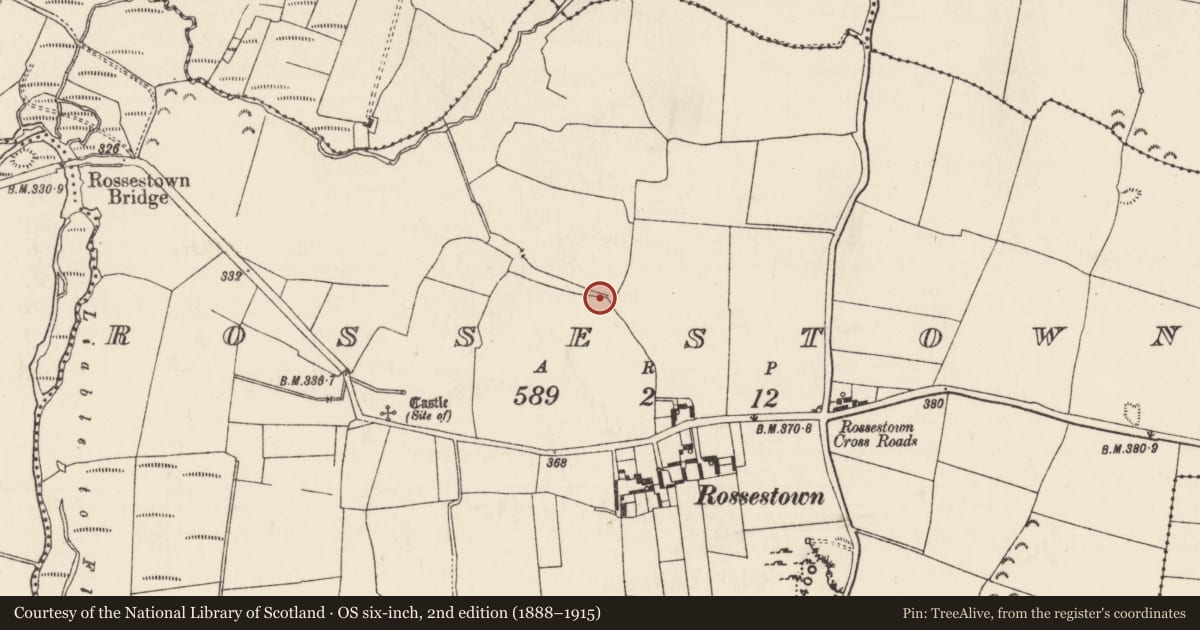 Ordnance Survey six-inch map, 2nd edition (1888–1915) covering the location of Enclosure, Rossestown, County Tipperary North, with a pin at the register's coordinates