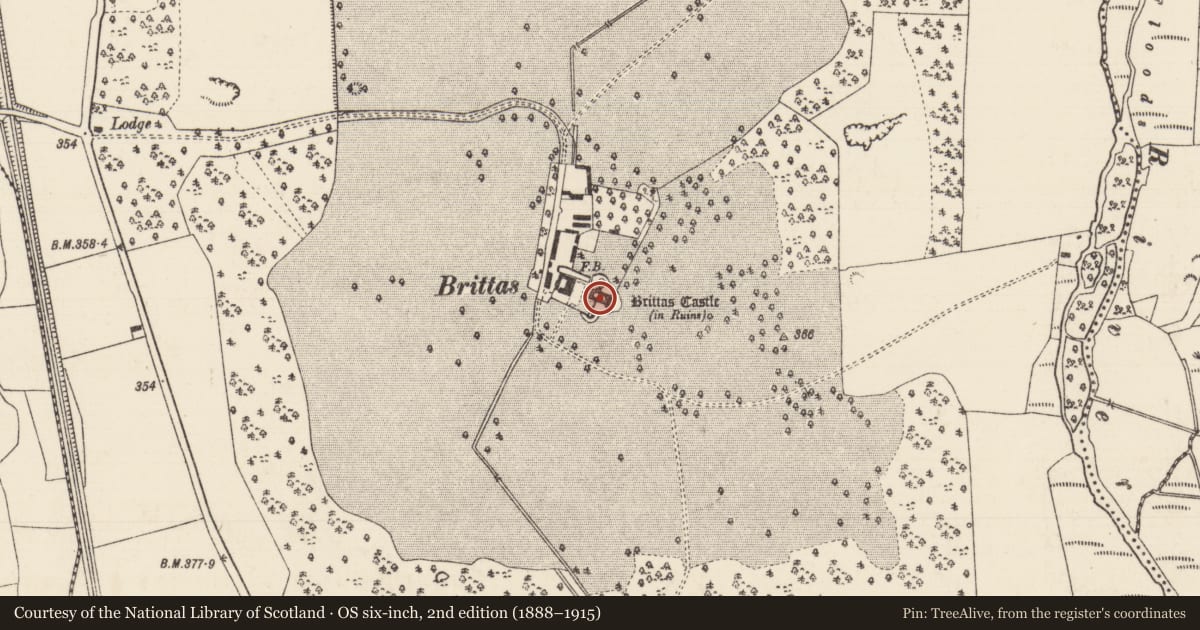 Ordnance Survey six-inch map, 2nd edition (1888–1915) covering the location of Castle - unclassified, Brittas (Thurles Par.), County Tipperary North, with a pin at the register's coordinates