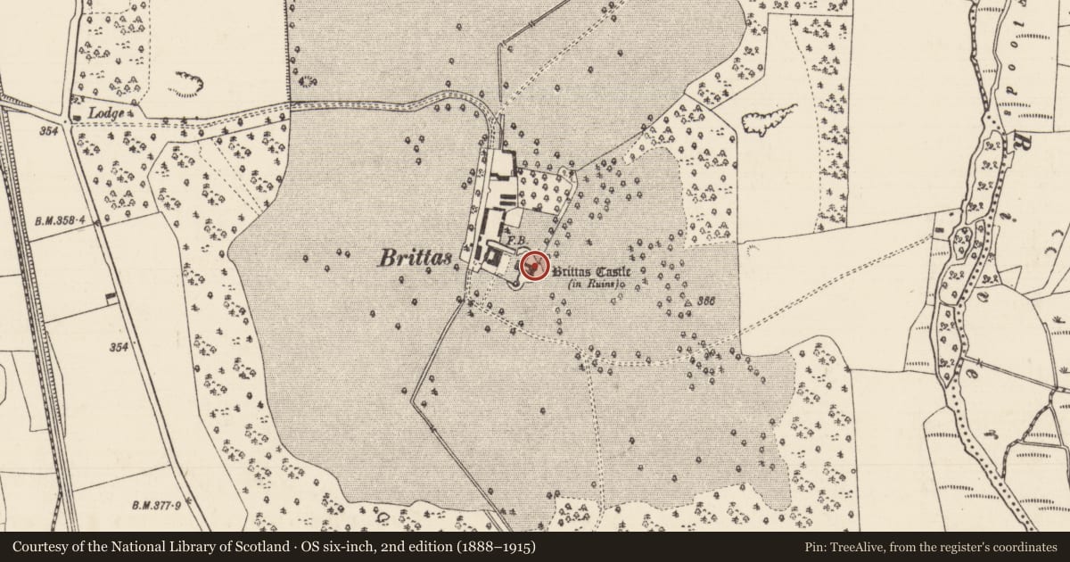 Ordnance Survey six-inch map, 2nd edition (1888–1915) covering the location of Bawn, Brittas (Thurles Par.), County Tipperary North, with a pin at the register's coordinates