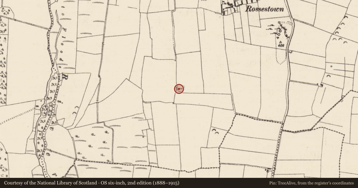 Ordnance Survey six-inch map, 2nd edition (1888–1915) covering the location of Ringfort - rath, Rossestown, County Tipperary North, with a pin at the register's coordinates