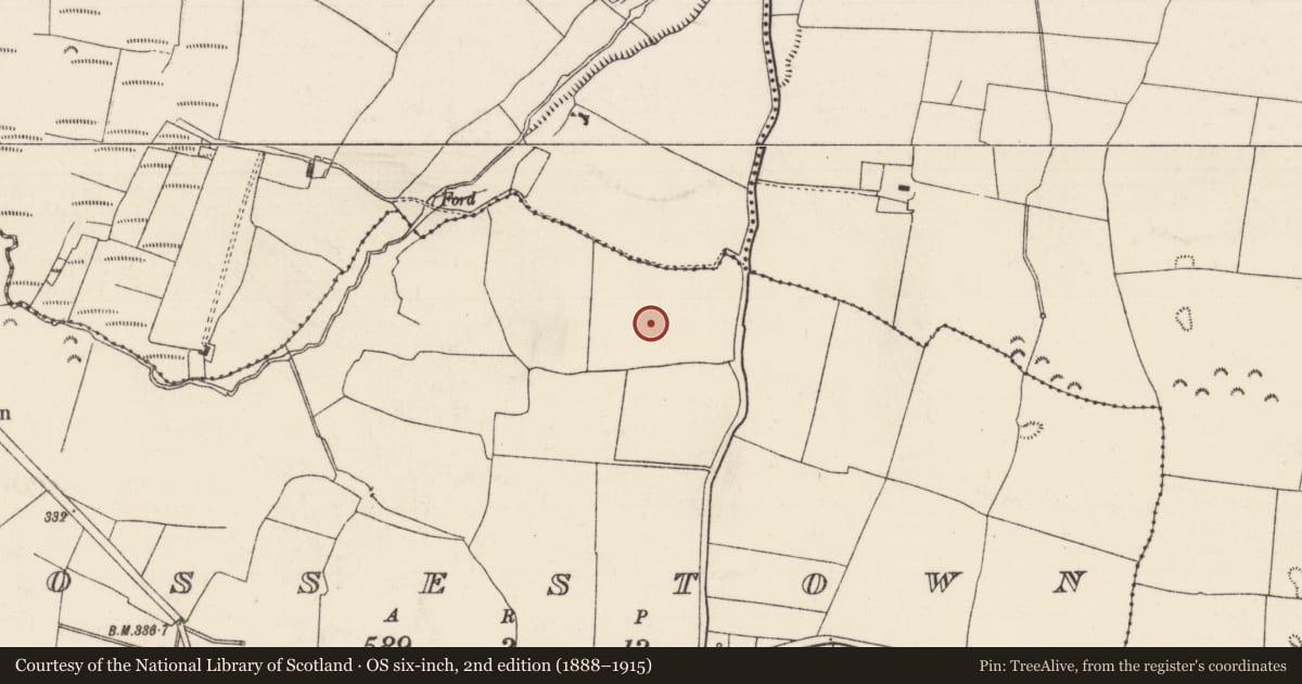 Ordnance Survey six-inch map, 2nd edition (1888–1915) covering the location of Enclosure, Rossestown, County Tipperary North, with a pin at the register's coordinates