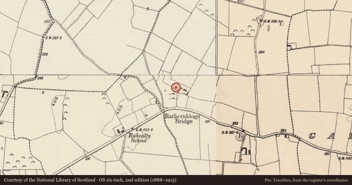 Ordnance Survey six-inch map, 2nd edition (1888–1915) covering the location of Enclosure, Rahelty, County Tipperary North, with a pin at the register's coordinates