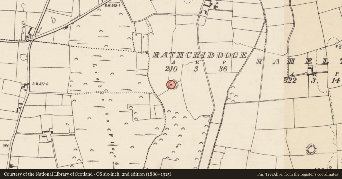 Ordnance Survey six-inch map, 2nd edition (1888–1915) covering the location of Ringfort - rath, Rathcriddoge, County Tipperary North, with a pin at the register's coordinates