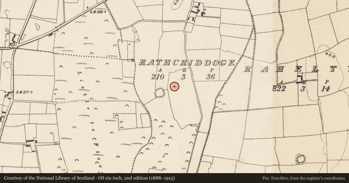 Ordnance Survey six-inch map, 2nd edition (1888–1915) covering the location of Enclosure, Rathcriddoge, County Tipperary North, with a pin at the register's coordinates