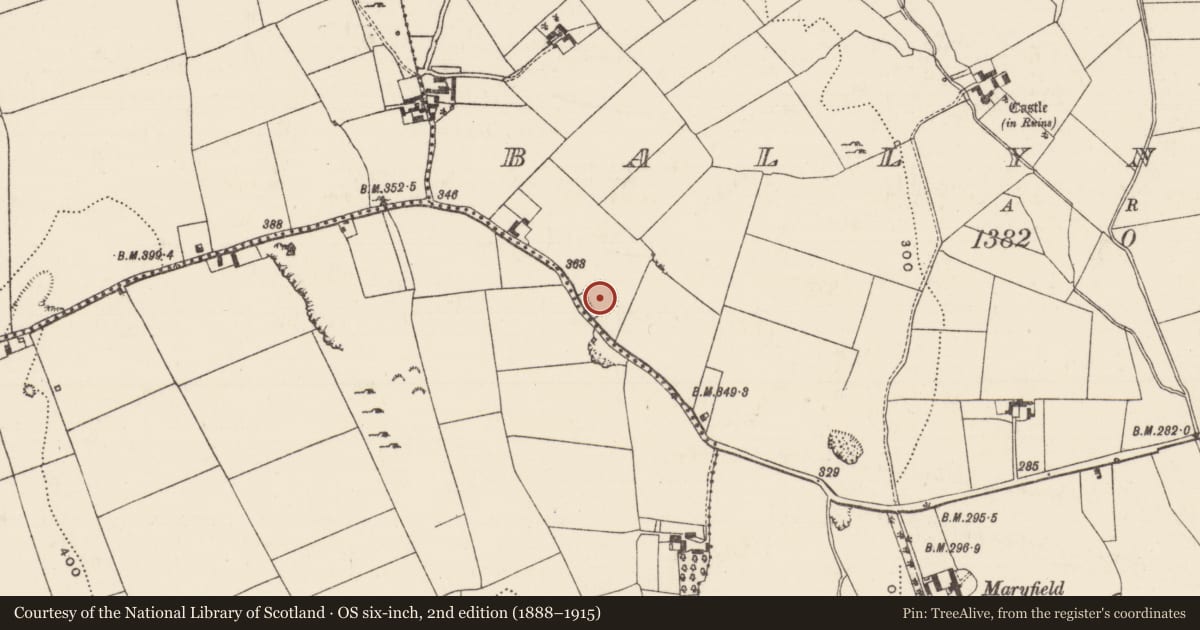 Ordnance Survey six-inch map, 2nd edition (1888–1915) covering the location of Ringfort - rath, Ballynahow (Ballycahill Par.), County Tipperary North, with a pin at the register's coordinates