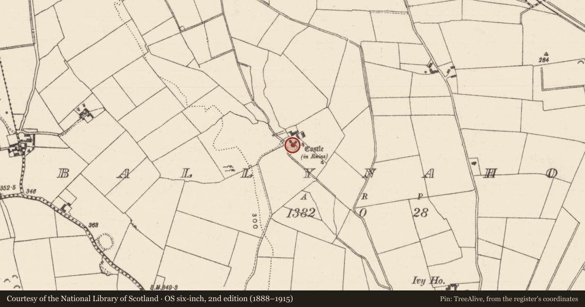 Ordnance Survey six-inch map, 2nd edition (1888–1915) covering the location of Castle - tower house, Ballynahow (Ballycahill Par.), County Tipperary North, with a pin at the register's coordinates