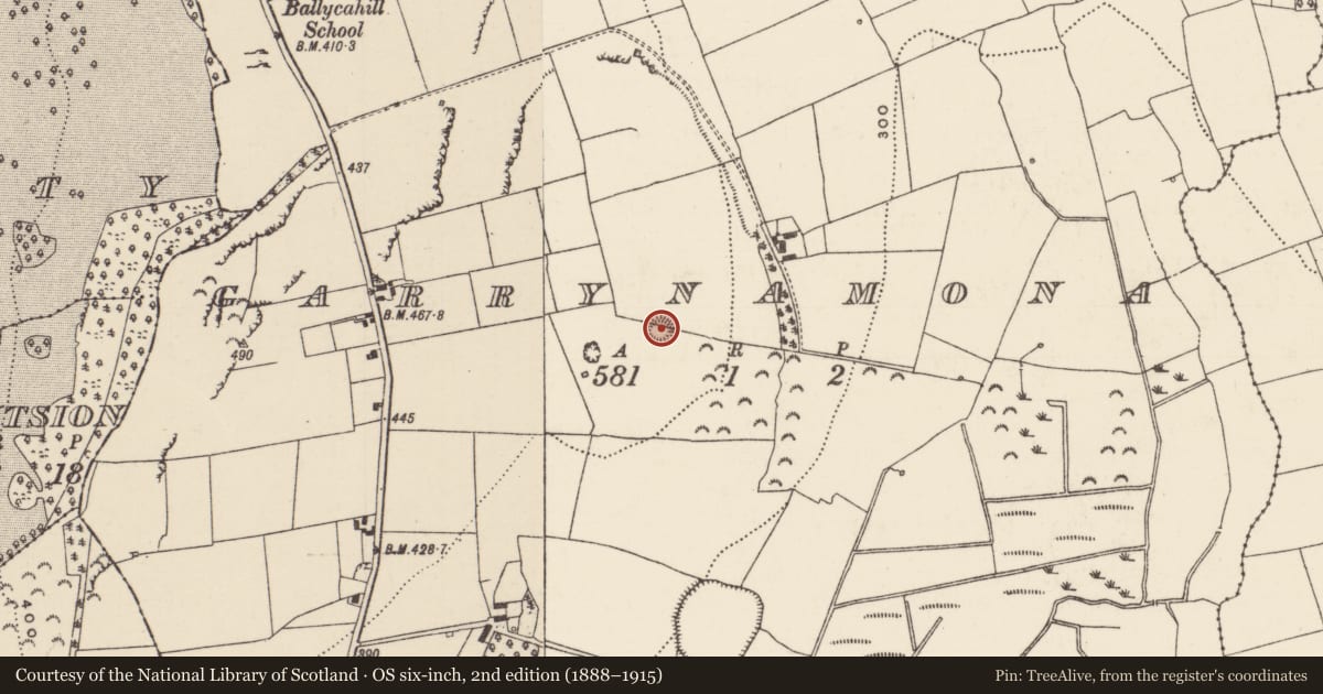 Ordnance Survey six-inch map, 2nd edition (1888–1915) covering the location of Ringfort - rath, Garrynamona, County Tipperary North, with a pin at the register's coordinates