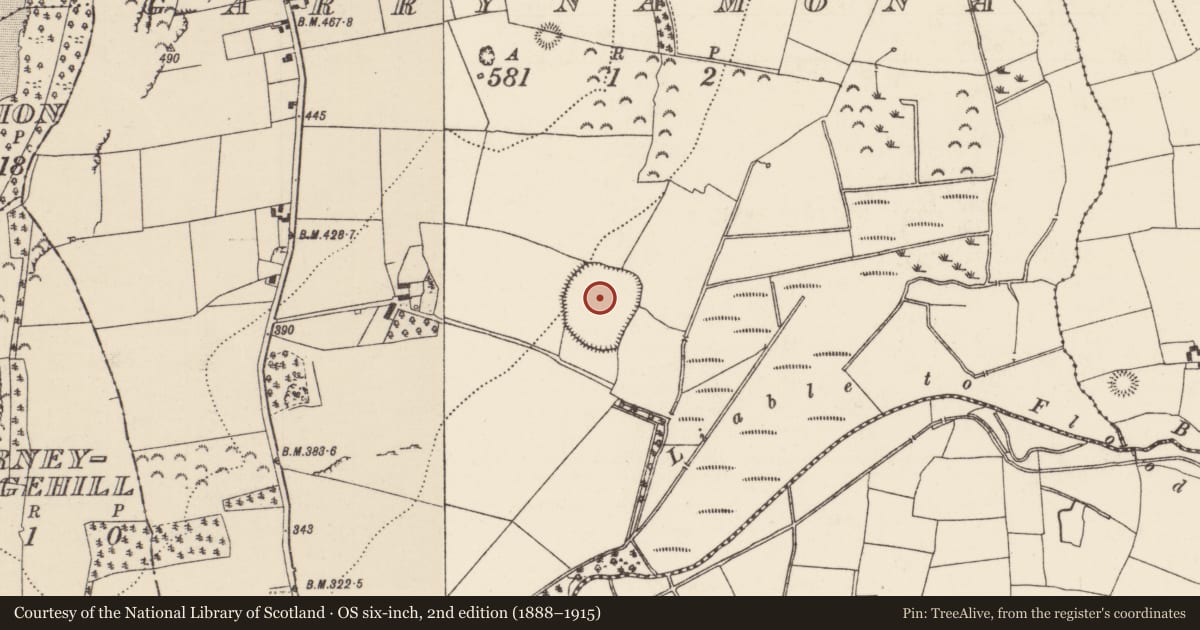 Ordnance Survey six-inch map, 2nd edition (1888–1915) covering the location of Church, Garrynamona, County Tipperary North, with a pin at the register's coordinates