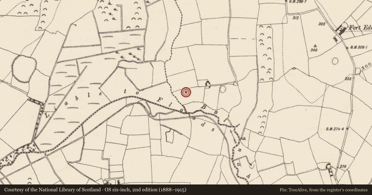 Ordnance Survey six-inch map, 2nd edition (1888–1915) covering the location of Ringfort - rath, Ballynahow (Ballycahill Par.), County Tipperary North, with a pin at the register's coordinates