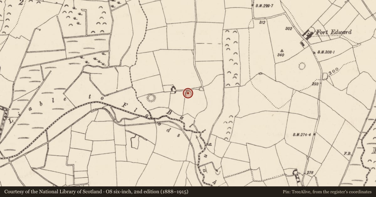 Ordnance Survey six-inch map, 2nd edition (1888–1915) covering the location of Ringfort - rath, Ballynahow (Ballycahill Par.), County Tipperary North, with a pin at the register's coordinates