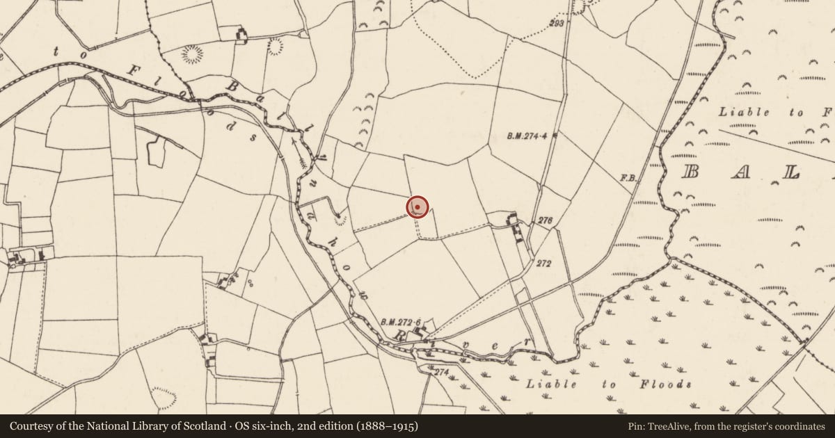 Ordnance Survey six-inch map, 2nd edition (1888–1915) covering the location of Ringfort - rath, Ballynahow (Ballycahill Par.), County Tipperary North, with a pin at the register's coordinates