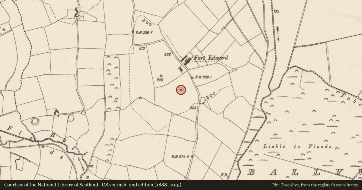 Ordnance Survey six-inch map, 2nd edition (1888–1915) covering the location of Ringfort - rath, Ballynahow (Ballycahill Par.), County Tipperary North, with a pin at the register's coordinates