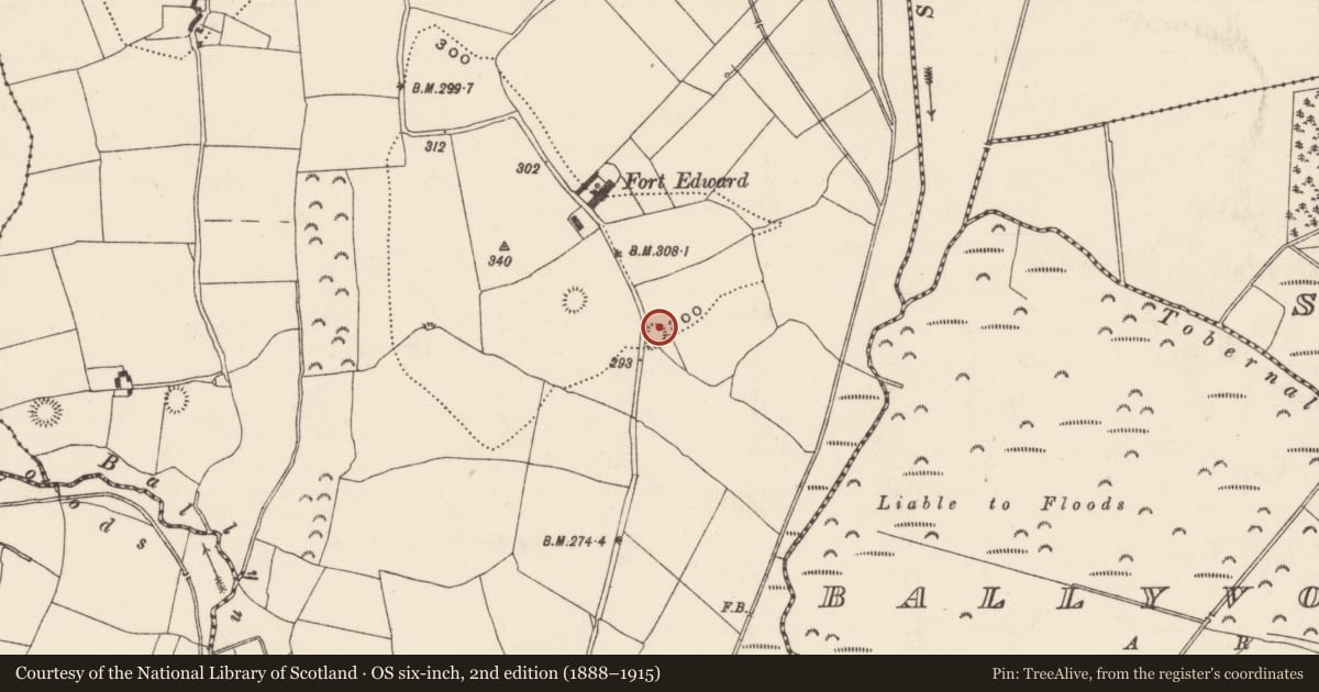 Ordnance Survey six-inch map, 2nd edition (1888–1915) covering the location of Ringfort - rath, Ballynahow (Ballycahill Par.), County Tipperary North, with a pin at the register's coordinates
