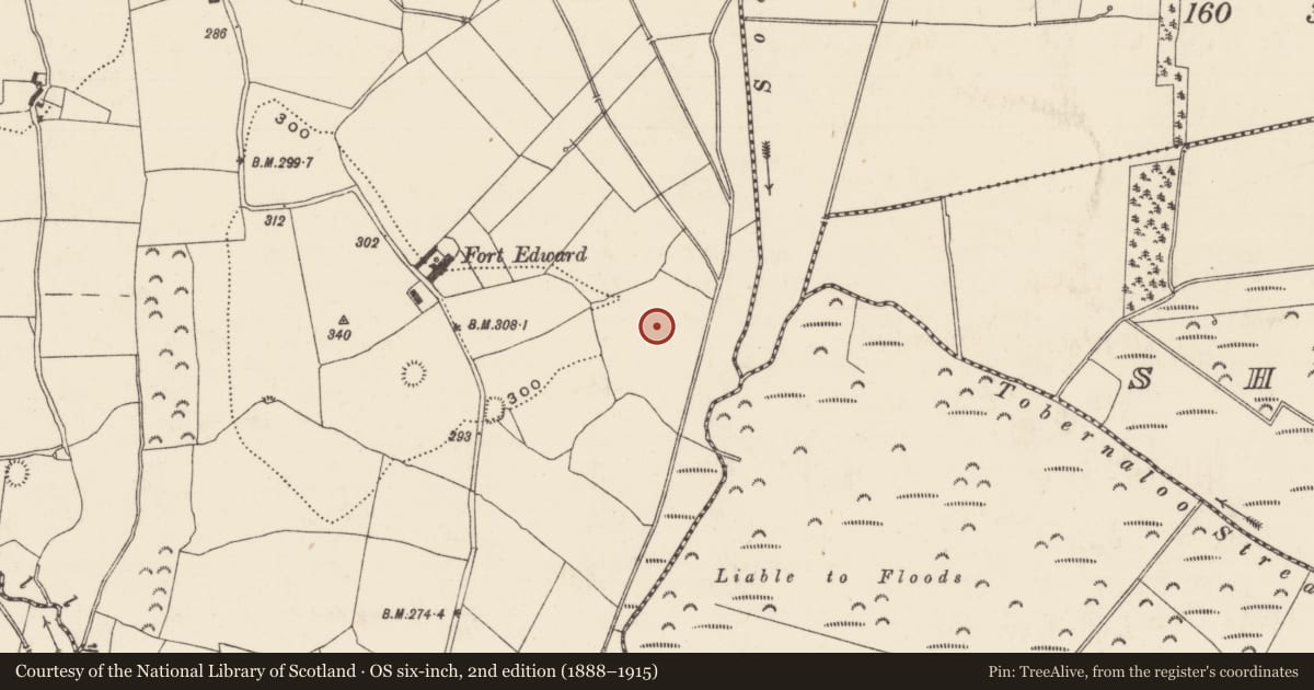 Ordnance Survey six-inch map, 2nd edition (1888–1915) covering the location of Ringfort - rath, Ballynahow (Ballycahill Par.), County Tipperary North, with a pin at the register's coordinates