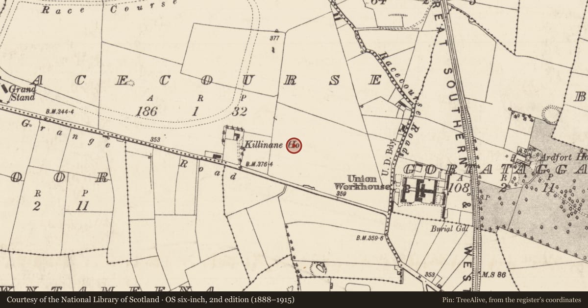 Ordnance Survey six-inch map, 2nd edition (1888–1915) covering the location of Earthwork, Racecourse (Thurles Par.), County Tipperary North, with a pin at the register's coordinates