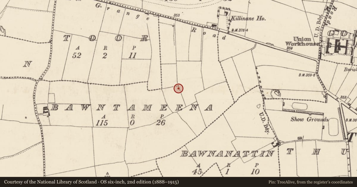 Ordnance Survey six-inch map, 2nd edition (1888–1915) covering the location of Enclosure, Bawntameena, County Tipperary North, with a pin at the register's coordinates