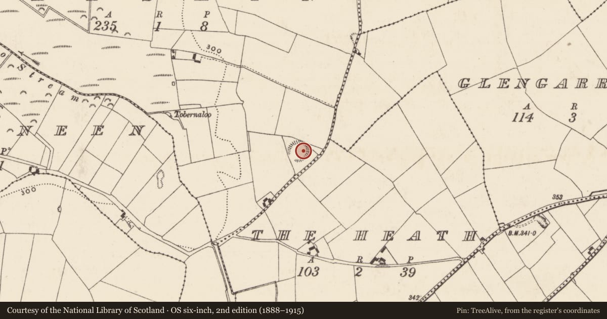 Ordnance Survey six-inch map, 2nd edition (1888–1915) covering the location of Ringfort - rath, Sheskin, County Tipperary North, with a pin at the register's coordinates