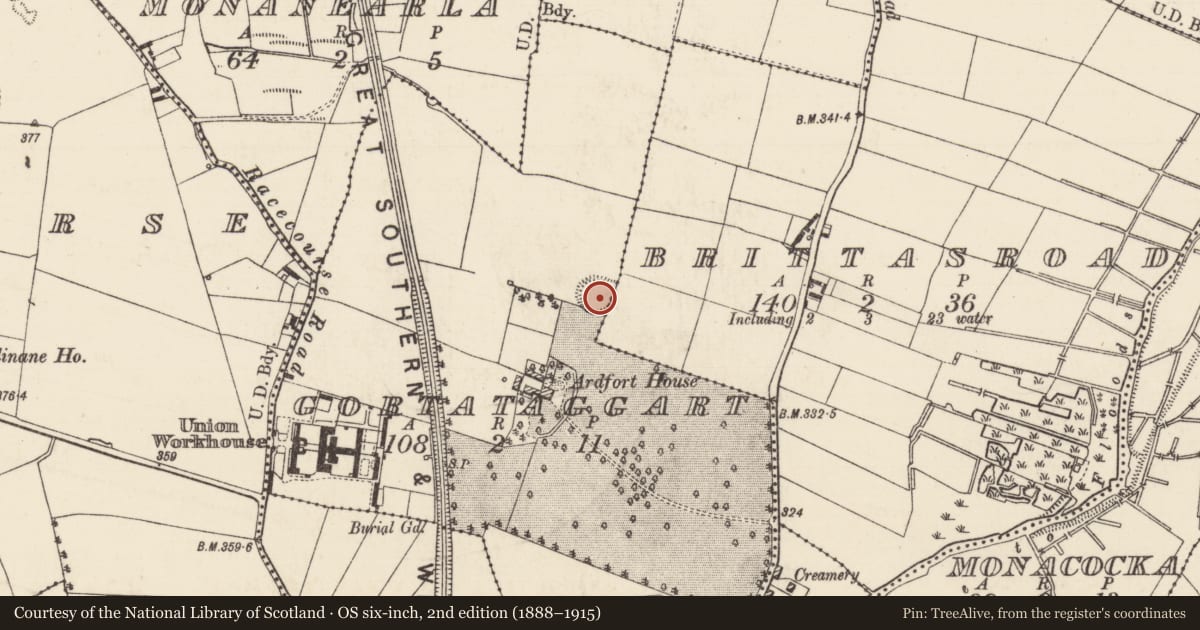 Ordnance Survey six-inch map, 2nd edition (1888–1915) covering the location of Ringfort - rath, Brittasroad, Gortataggart, County Tipperary North, with a pin at the register's coordinates