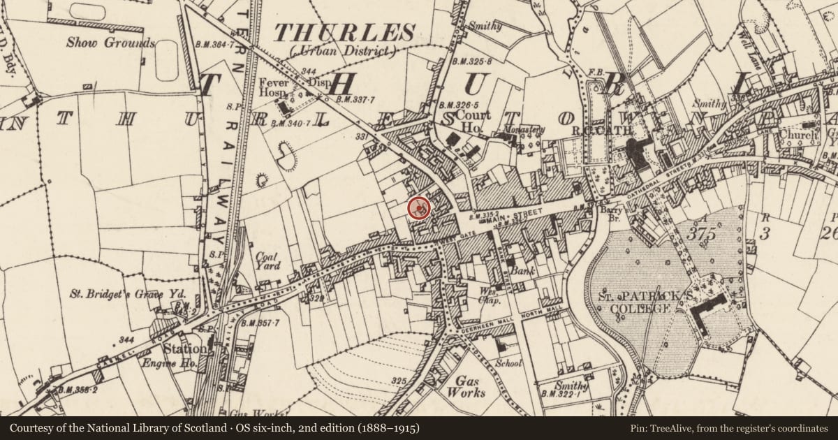 Ordnance Survey six-inch map, 2nd edition (1888–1915) covering the location of Castle - motte, Thurles Townparks, County Tipperary North, with a pin at the register's coordinates