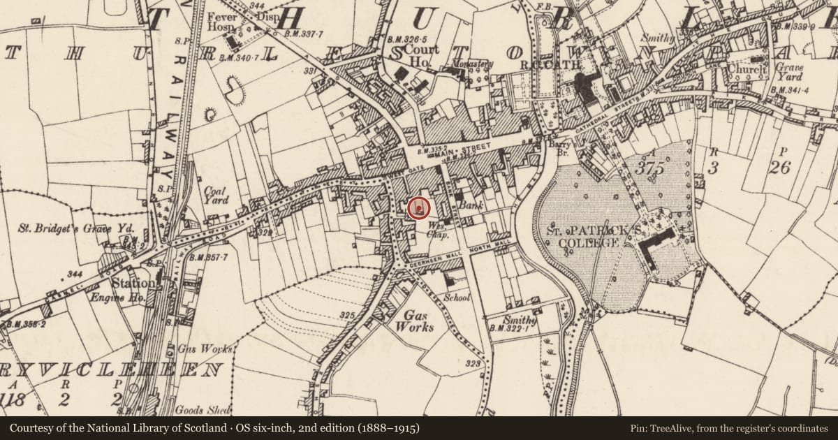 Ordnance Survey six-inch map, 2nd edition (1888–1915) covering the location of Sheela-na-gig, Thurles Townparks, County Tipperary North, with a pin at the register's coordinates