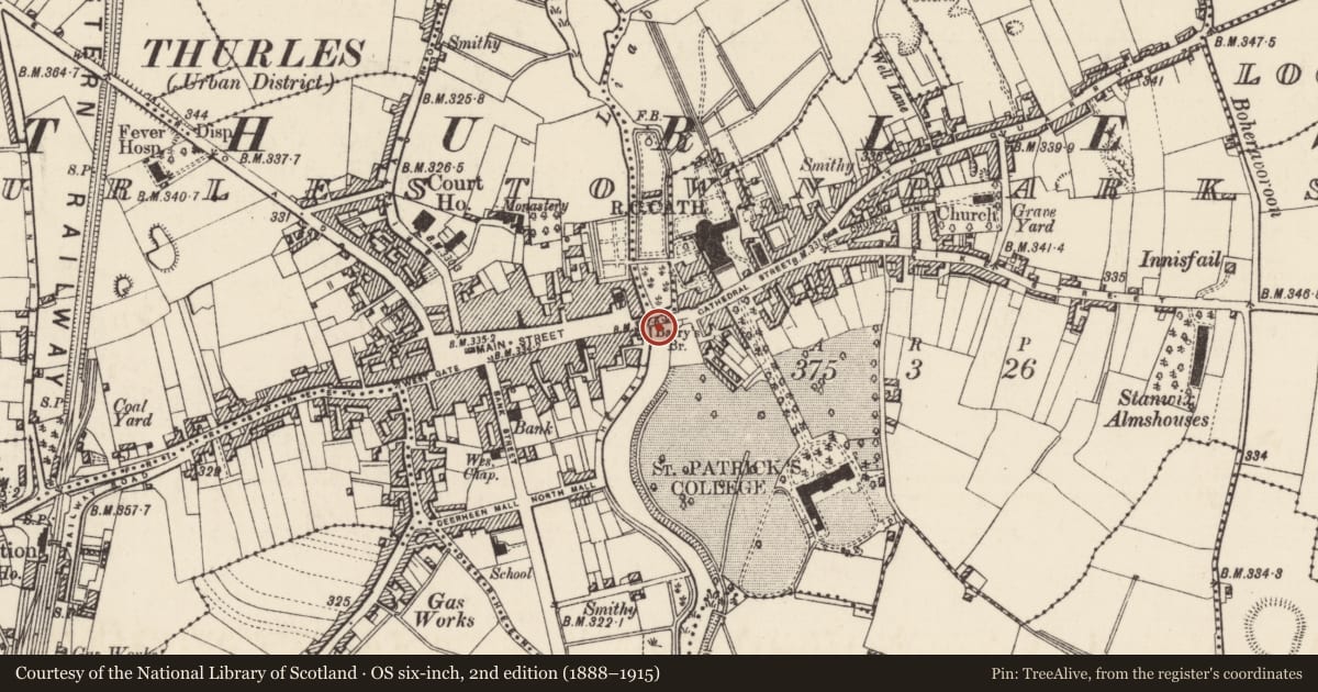 Ordnance Survey six-inch map, 2nd edition (1888–1915) covering the location of Bridge, Thurles Townparks, County Tipperary North, with a pin at the register's coordinates