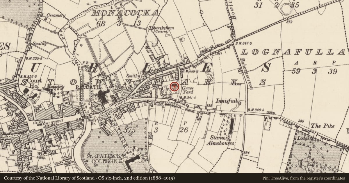 Ordnance Survey six-inch map, 2nd edition (1888–1915) covering the location of Church, Thurles Townparks, County Tipperary North, with a pin at the register's coordinates