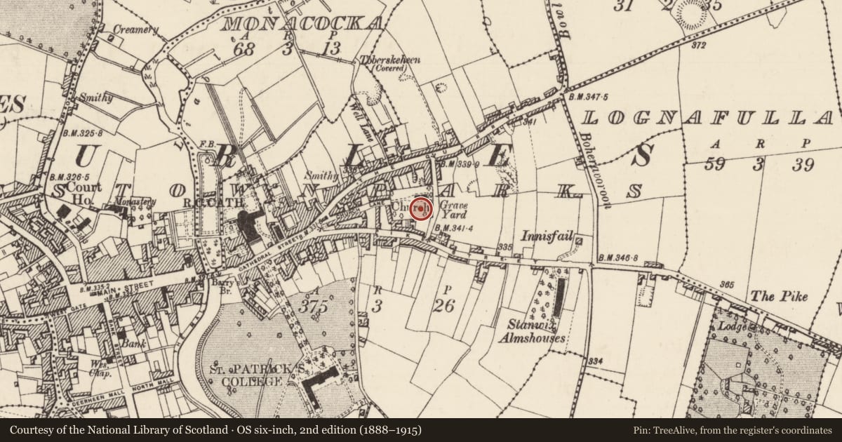 Ordnance Survey six-inch map, 2nd edition (1888–1915) covering the location of Graveslab, Thurles Townparks, County Tipperary North, with a pin at the register's coordinates